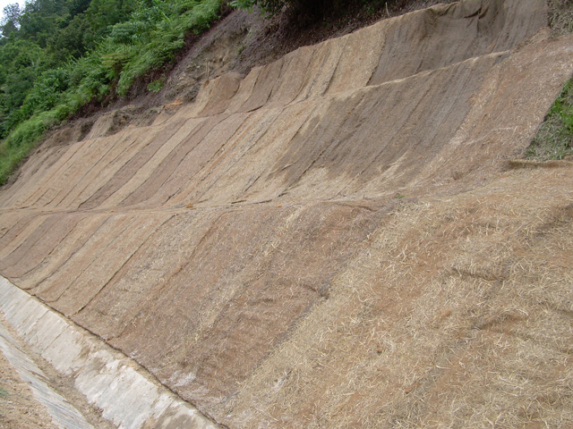 Erosion Control Blanket an Effective Slope Protection System