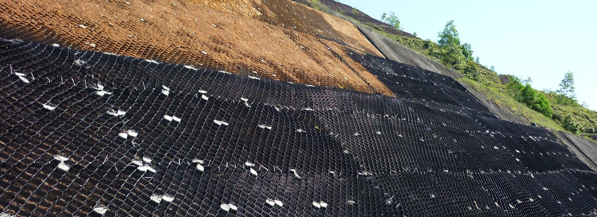 Erosion Control Mat: Monofilament 3 Dimensional Mat for Soil